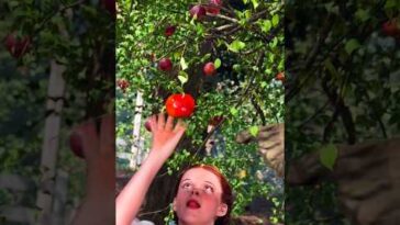 Got It! - Perez Hilton