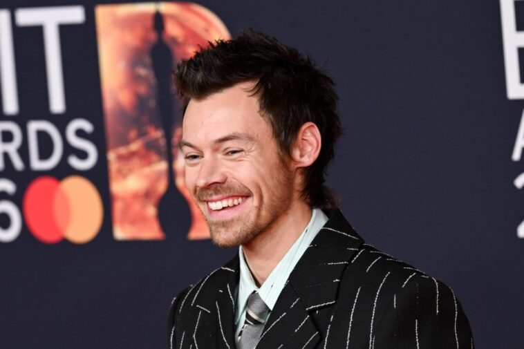 Harry Styles 2026 Meltdown Festival Lineup Revealed