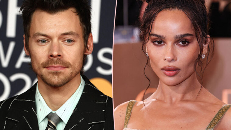 Harry Styles & Zoë Kravitz DON'T Share A Bed Amid Months-Long Relationship & Multiple Trips Together!