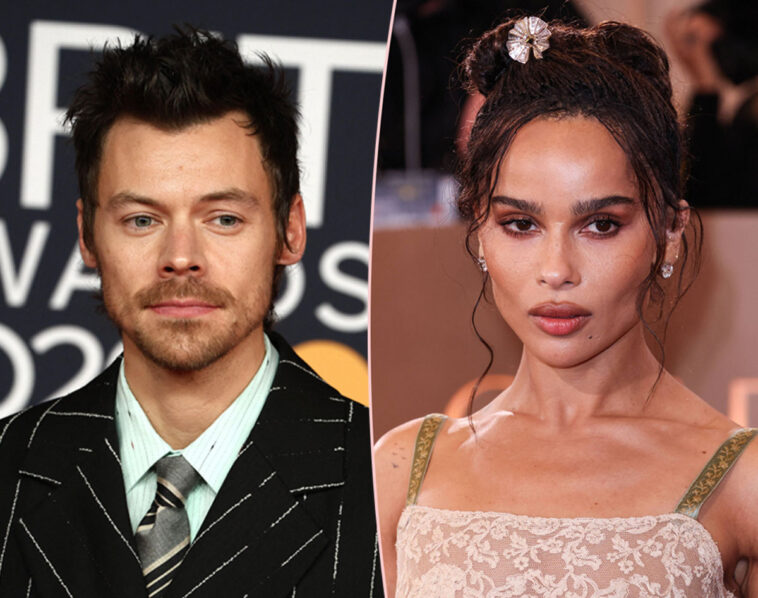 Harry Styles & Zoë Kravitz DON'T Share A Bed Amid Months-Long Relationship & Multiple Trips Together!