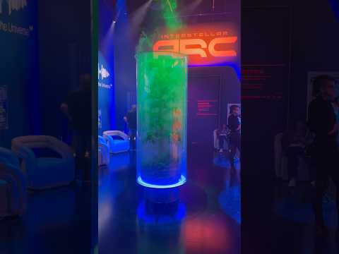 Interstellar Arc Is Out Of This World - Literally! What To Expect From This New Attraction At Area 15 In Las Vegas! | Perez Hilton And Family