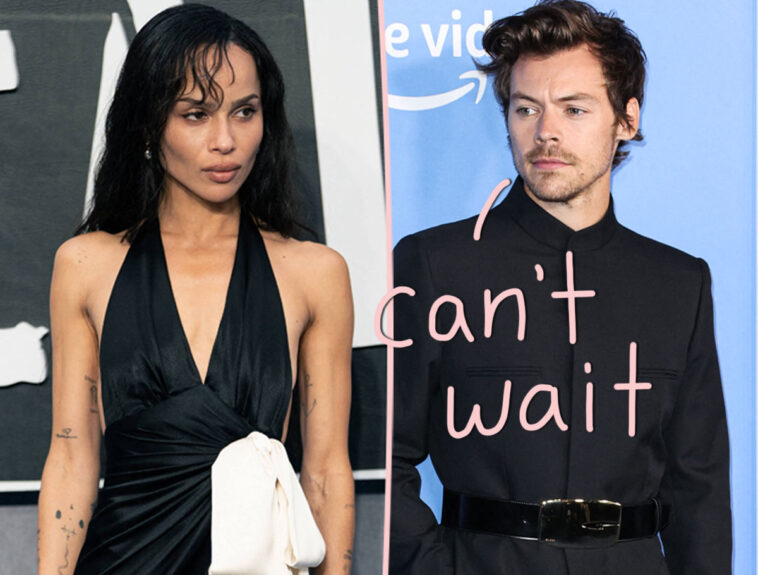 Is THIS The Reason For Harry Styles' Quick Zoë Kravitz Engagement?