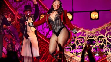 Megan Thee Stallion quits 'Moulin Rouge' early after hospitalisation and break-up
