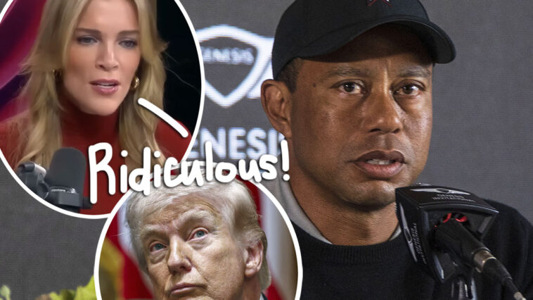 Megyn Kelly RIPS Tiger Woods For Calling Donald Trump During DUI Arrest - WATCH!