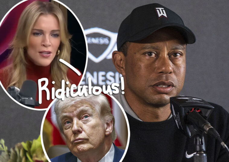 Megyn Kelly RIPS Tiger Woods For Calling Donald Trump During DUI Arrest - WATCH!