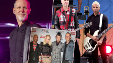 No Doubt's Guitarist Tom Dumont Shares He Was Diagnosed With Early-Onset Parkinson's 'A Number Of Years Ago' - See His Health Update