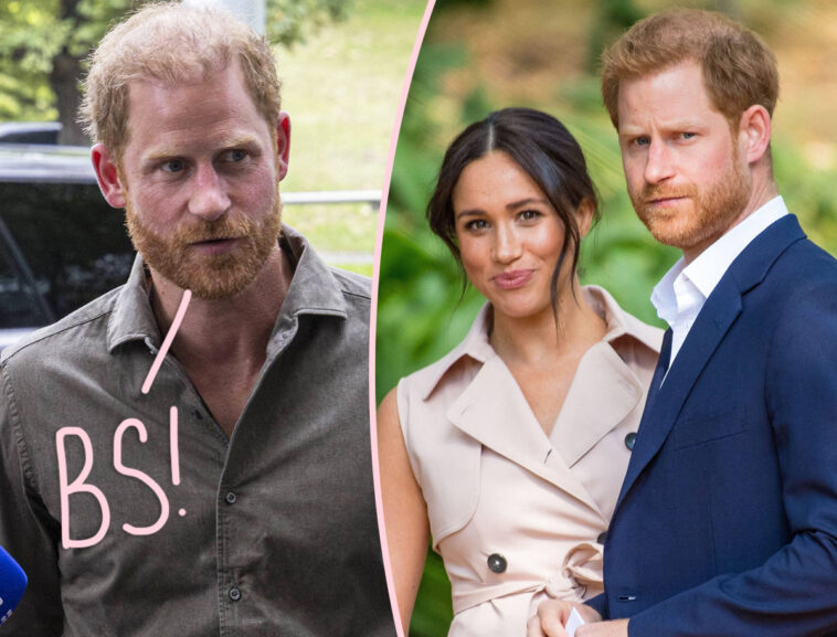 Prince Harry Pushes Back HARD After Being Called 'Not A Working Royal'!