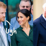 Royal Family Have Put Mending Rift With Prince Harry & Meghan Markle 'On The Back Burner' - Here's Why!