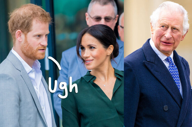 Royal Family Have Put Mending Rift With Prince Harry & Meghan Markle 'On The Back Burner' - Here's Why!