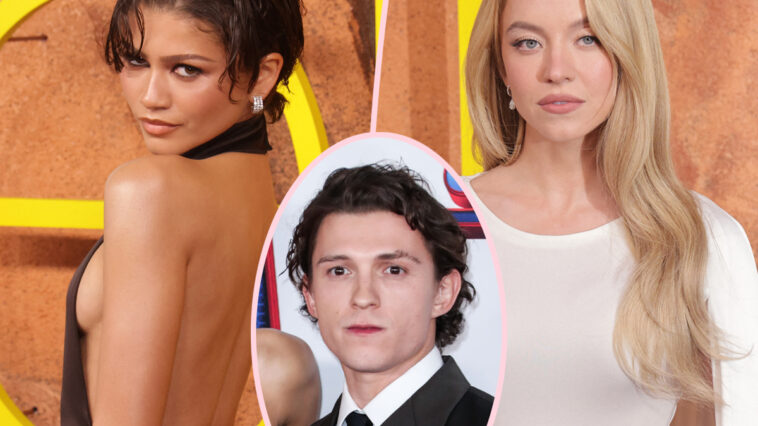 The Real Reason Zendaya & Sydney Sweeney Avoid Each Other?! It Involves Tom Holland: REPORT