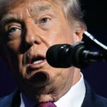 Trump's Polling Numbers Are in Free Fall