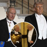 What Donald Trump Shockingly Asked King Charles During State Dinner, According To Lip Reader! 