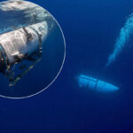 Widow Of Father-Son Duo Who Lost Their Lives In Titanic Tourism Sub Reveals What She Received For Their Remains - Heartbreaking Details