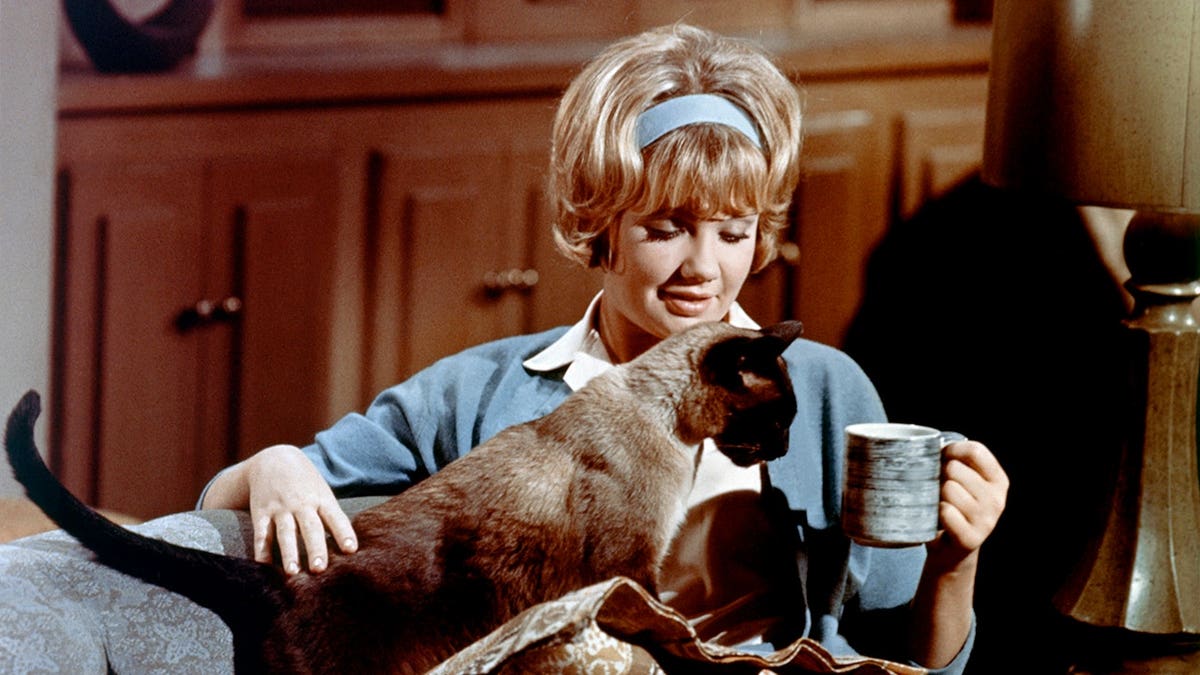 British actress Hayley Mills standing on the set of That Darn Cat