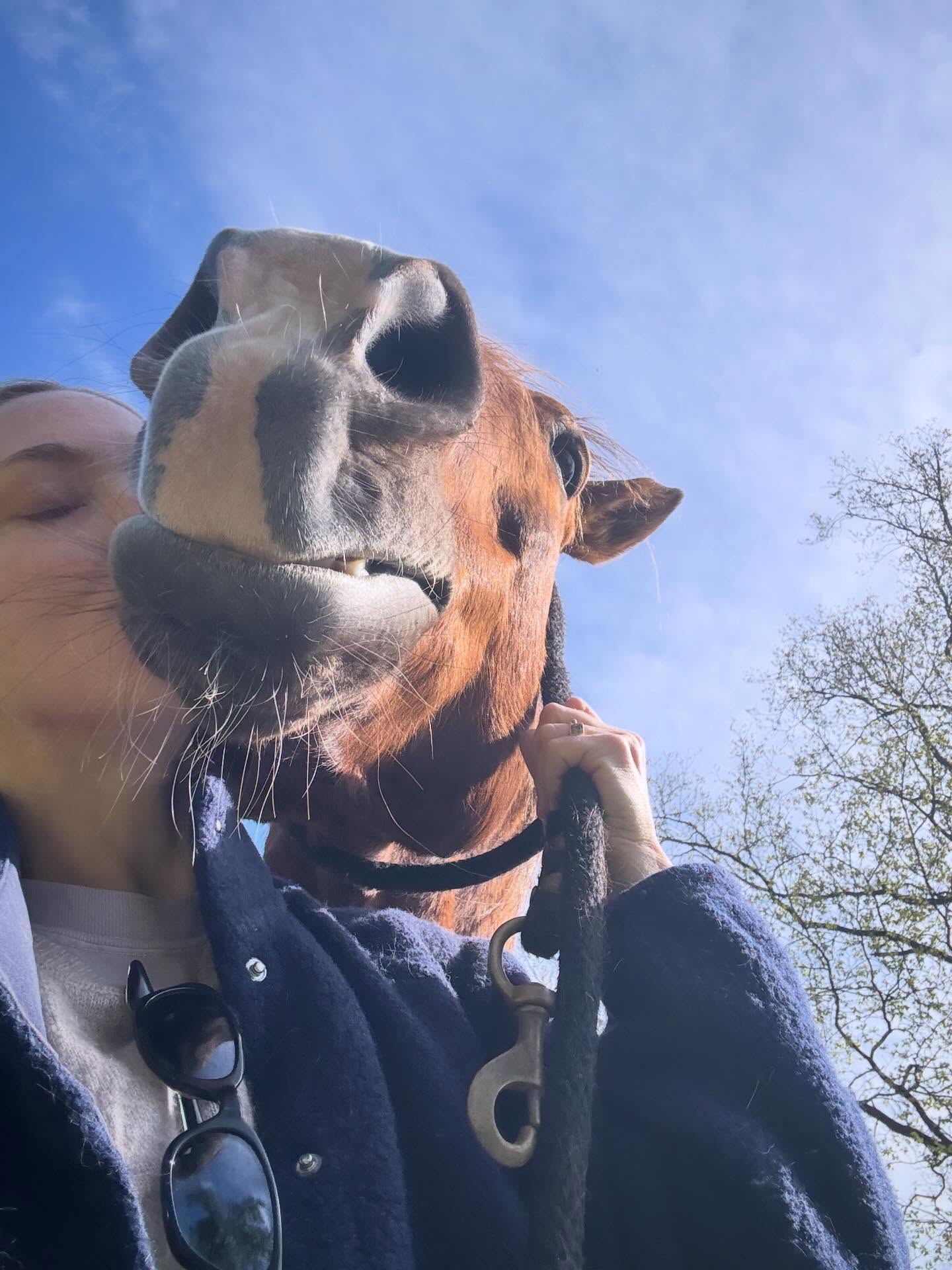 Amanda Seyfried snuggles up with a horse.