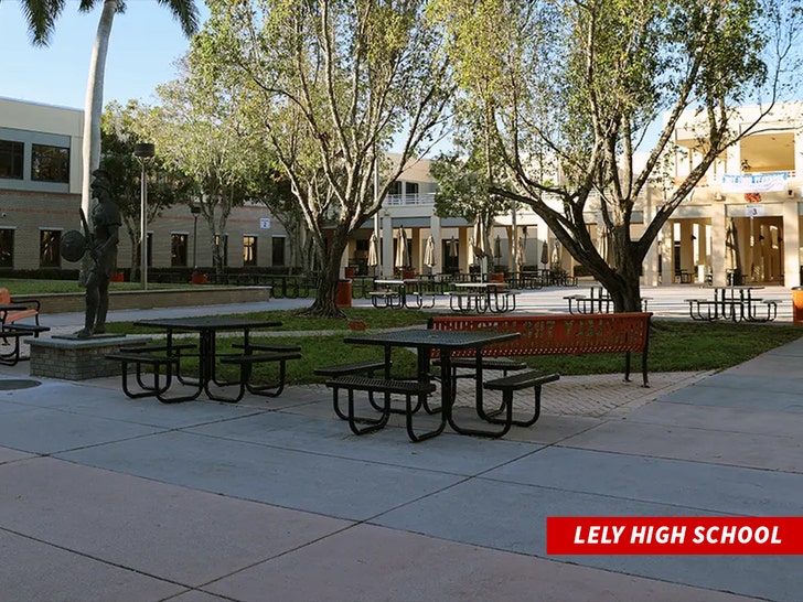 Lely High School website 1