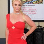 Britney Spears Faces Criminal Charge After DUI Arrest