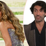 It Ends With Us Actor SLAMS Blake Lively - Calls Her Post-Settlement Met Gala Appearance 'Contrived' & 'Desperate'!