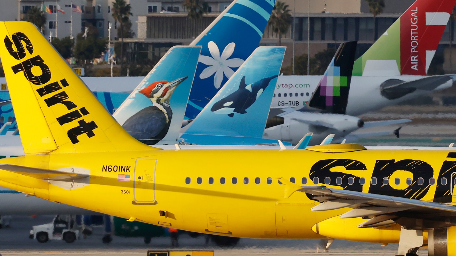 MAGA Blames Biden and Dems, Not Fuel Prices, for Spirit Airlines Fold
