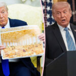 Republicans Now Demand $1 BILLION In TAX-PAID DOLLARS For Trump's Ballroom After He Promised To Make It Without Tax Payer Money!