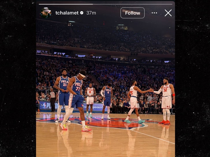 Timmy Chalamet knicks game