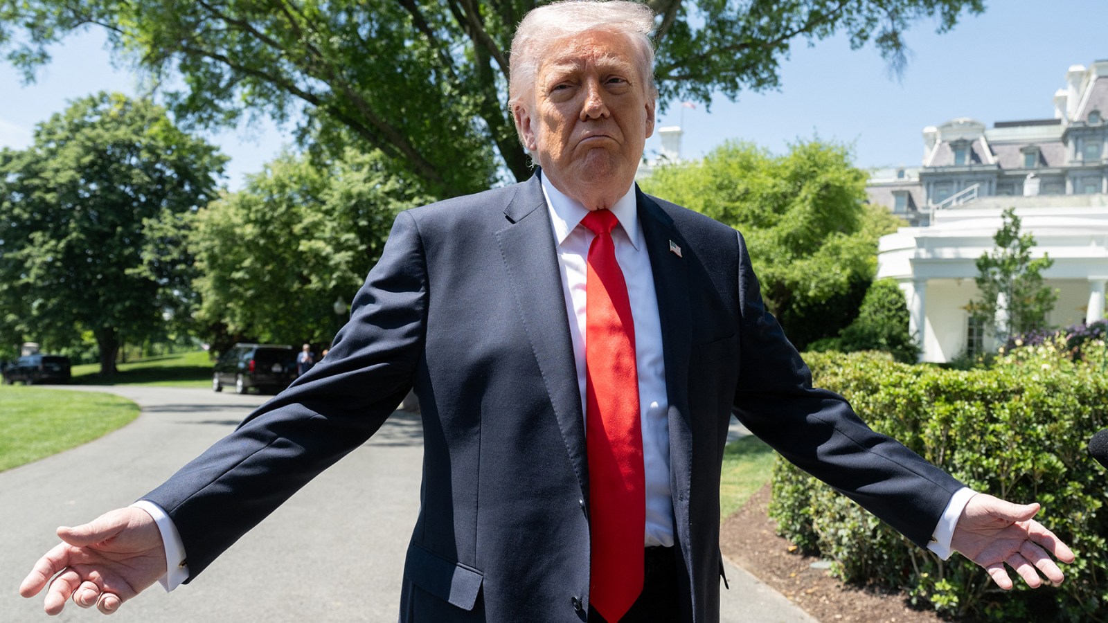 Trump Says Asking Congress to Authorize War Is Unconstitutional