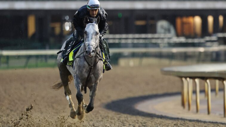 Where to Watch the 2026 Kentucky Derby: Stream the Race Online